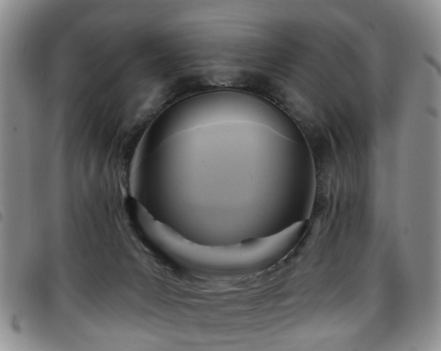 X0000097750031200803141606