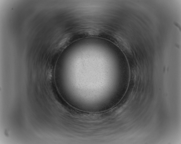 X0000097750032200803141606