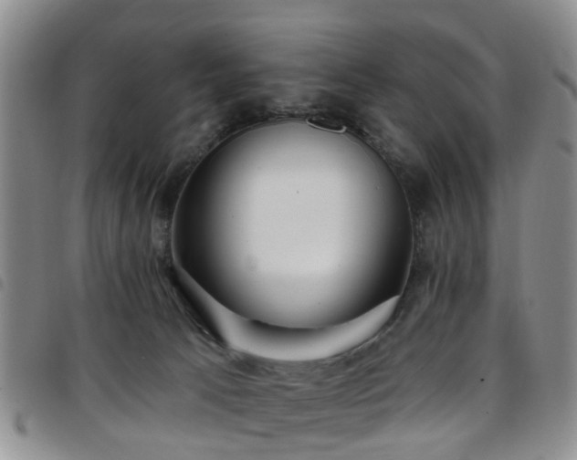 X0000097750033200803141606