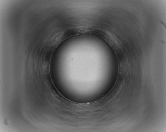 X0000097750034200803141606