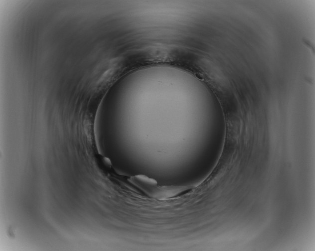 X0000097750035200803141606