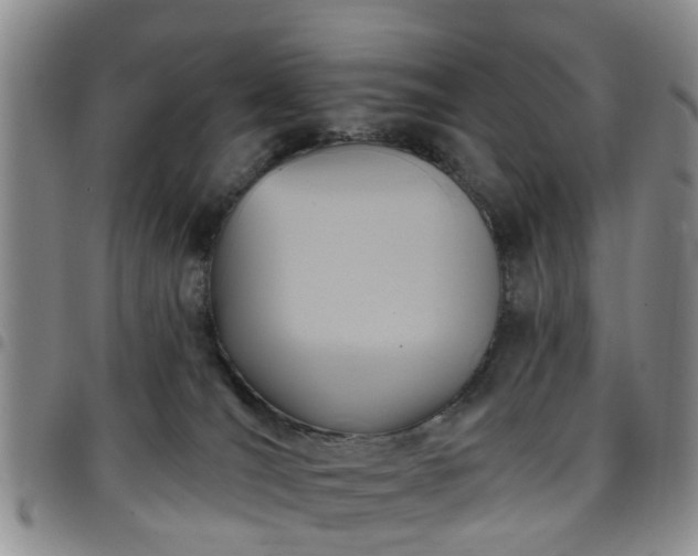 X0000097750036200803141606