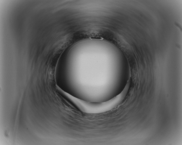 X0000097750037200803141606