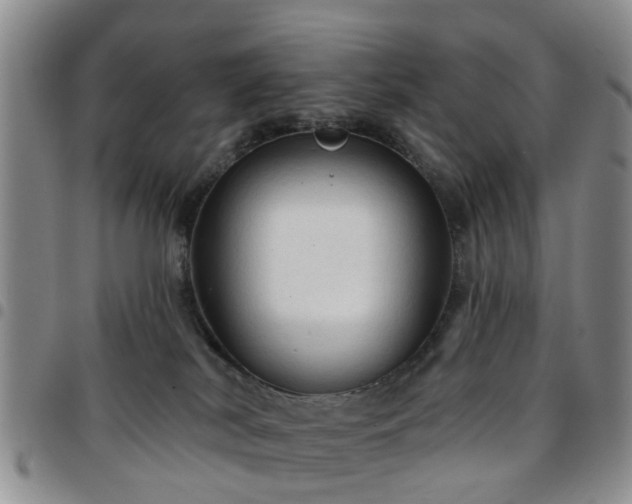 X0000097750038200803141606