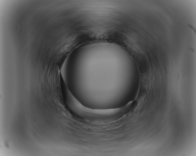 X0000097750039200803141606