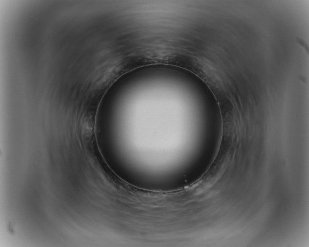 X0000097750040200803141606