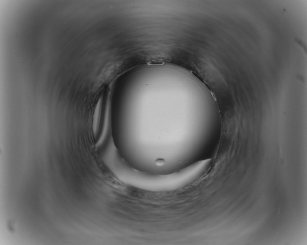 X0000097750041200803141606