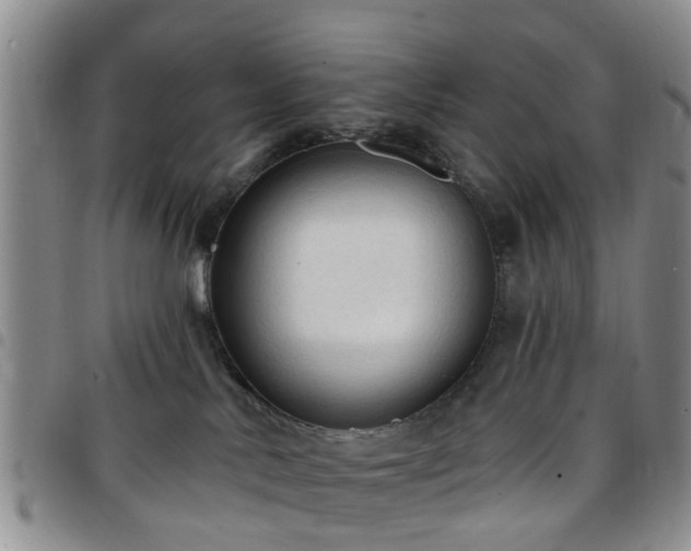 X0000097750042200803141606