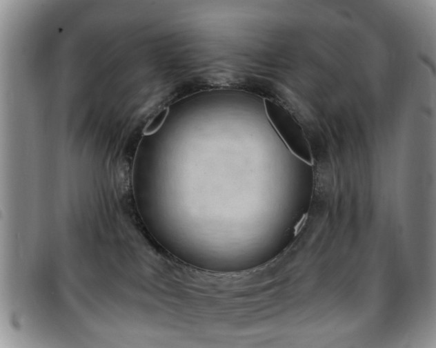 X0000097750043200803141606