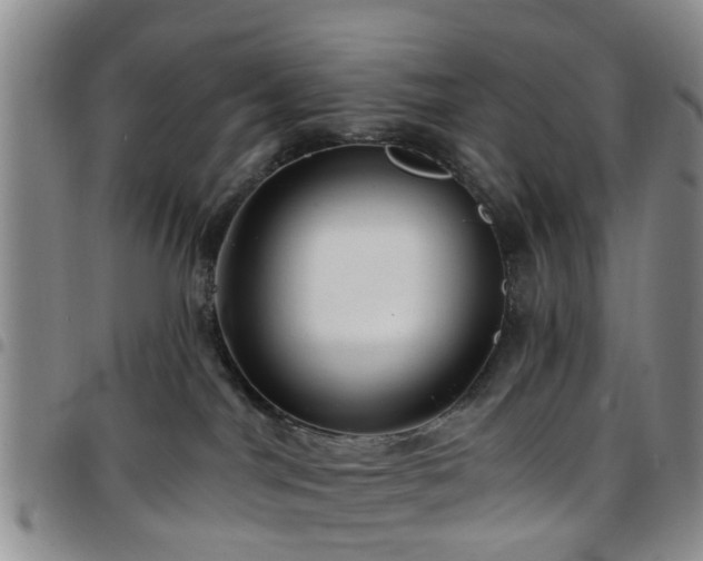 X0000097750044200803141606