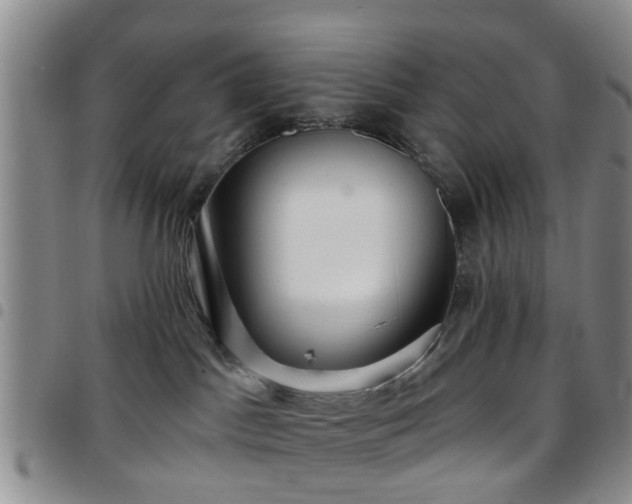 X0000097750045200803141606