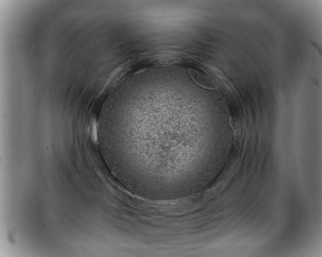 X0000097750046200803141606