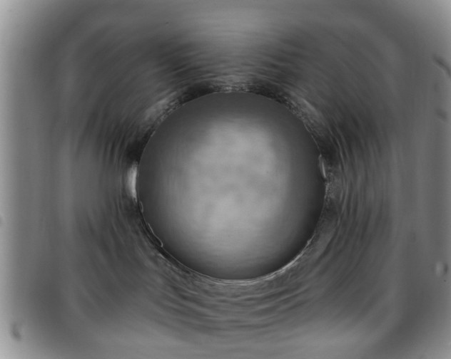 X0000097750047200803141606