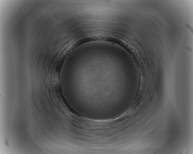 X0000097750048200803141606