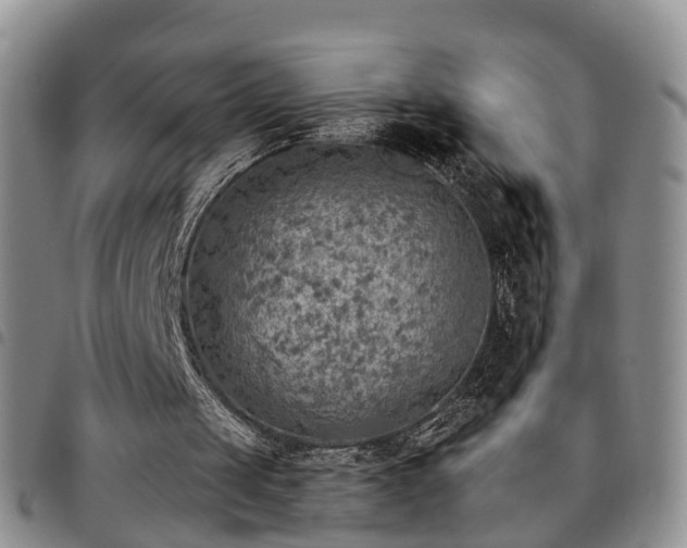 X0000097750049200803141605