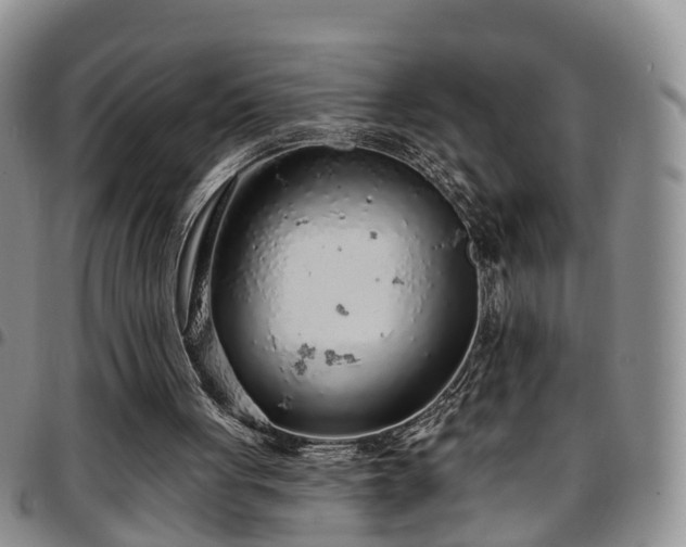 X0000097750051200803141606