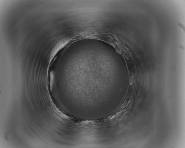 X0000097750052200803141606