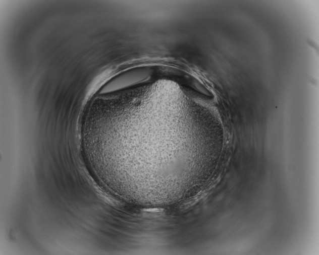 X0000097750053200803141606