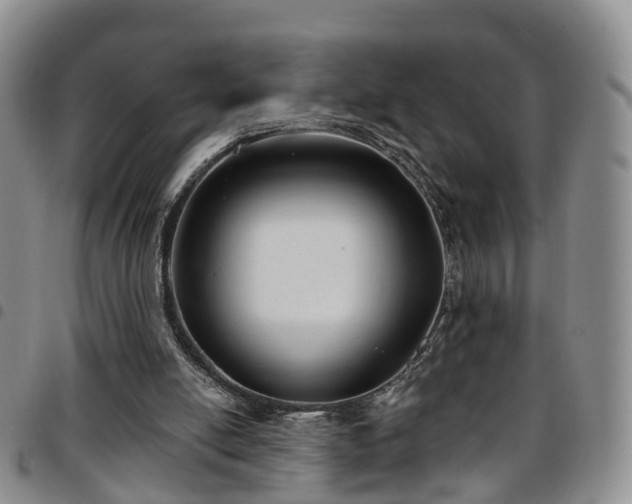 X0000097750054200803141606