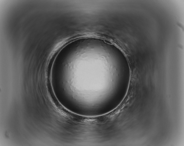 X0000097750055200803141606