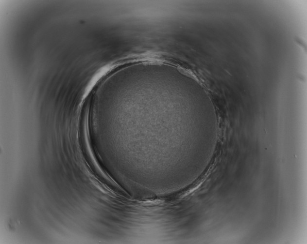 X0000097750056200803141606