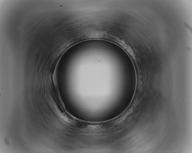 X0000097750057200803141606