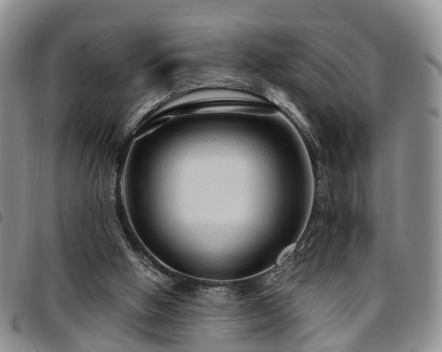 X0000097750058200803141606