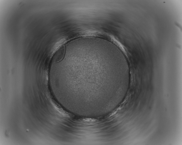 X0000097750059200803141606