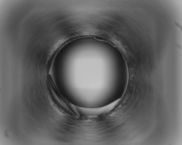 X0000097750060200803141606