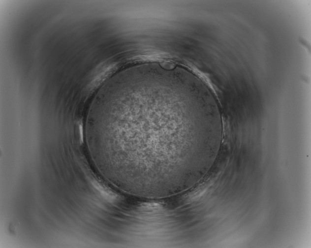 X0000097750061200803141606