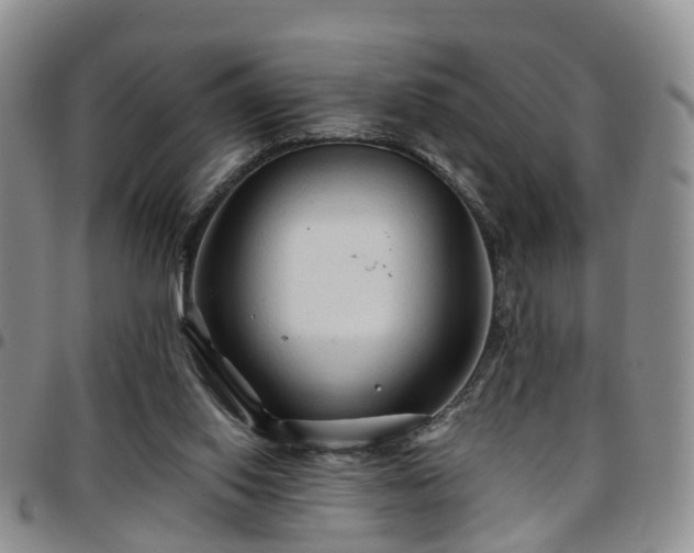 X0000097750062200803141606