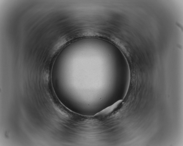 X0000097750063200803141606