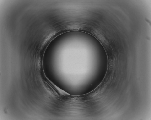 X0000097750064200803141606