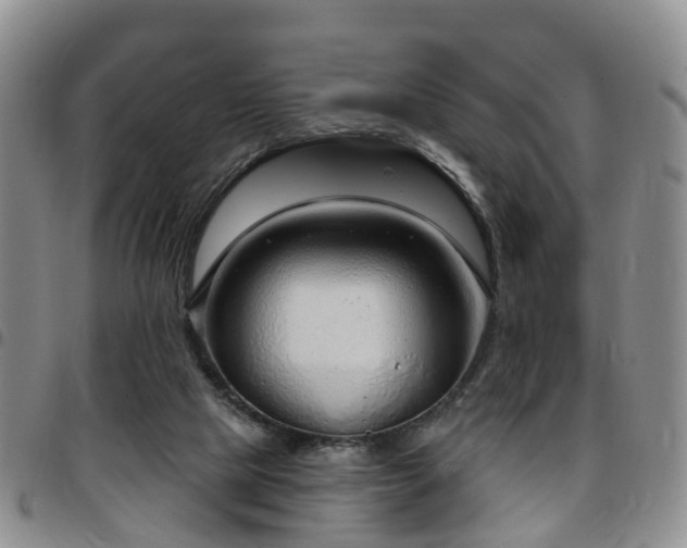 X0000097750065200803141606