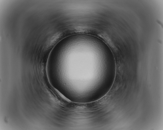 X0000097750066200803141606