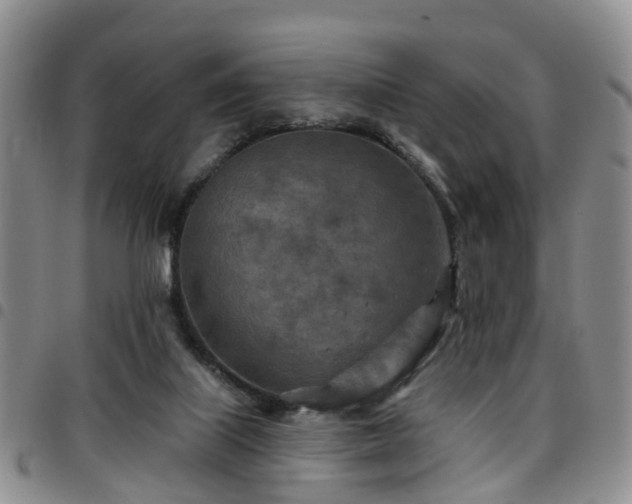 X0000097750067200803141606