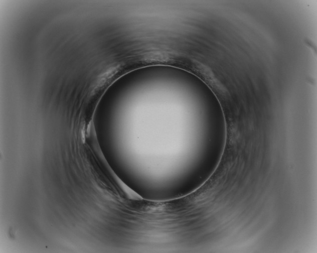 X0000097750068200803141606