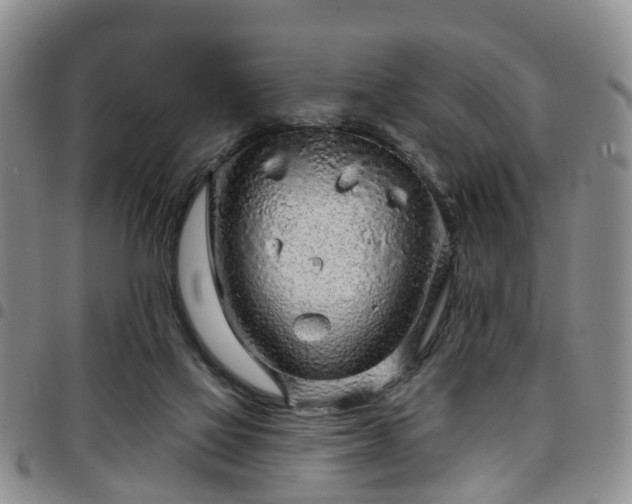 X0000097750069200803141606