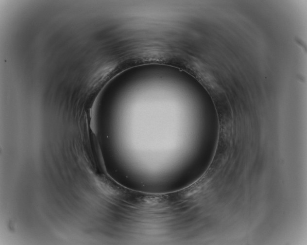 X0000097750070200803141606