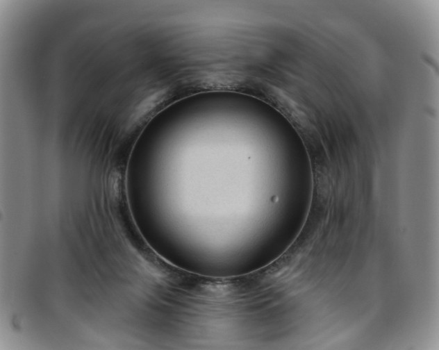 X0000097750071200803141606