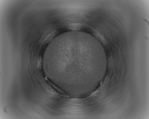 X0000097750073200803141606