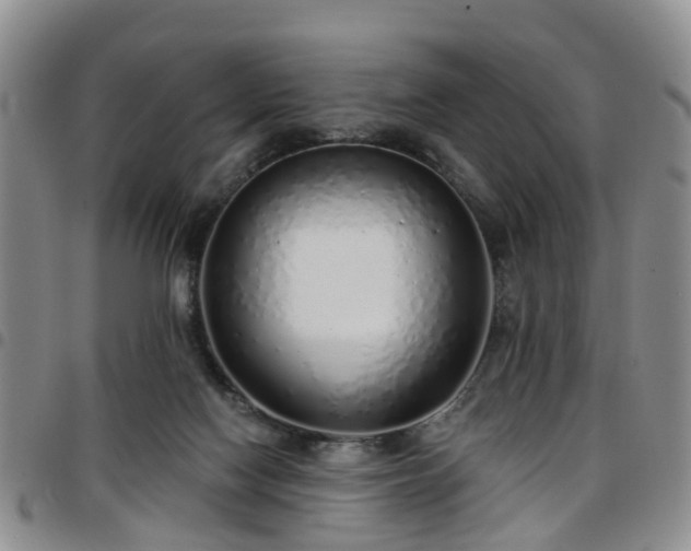 X0000097750074200803141606