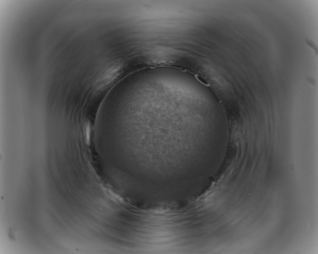 X0000097750076200803141606