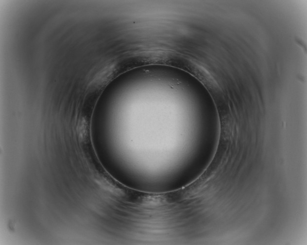 X0000097750077200803141606