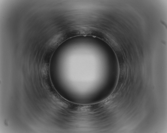 X0000097750078200803141606