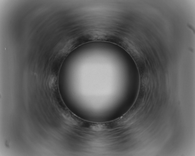 X0000097750079200803141606