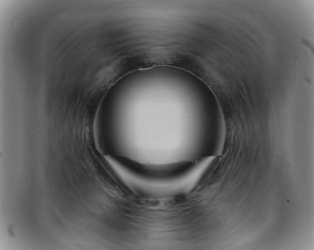 X0000097750080200803141606