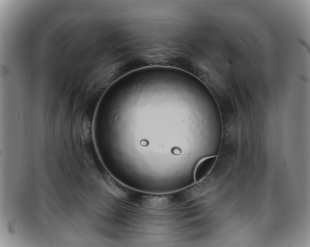 X0000097750081200803141606