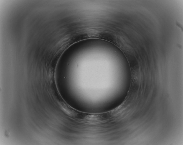 X0000097750082200803141606