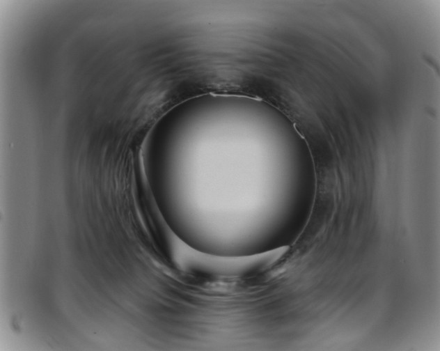 X0000097750084200803141606